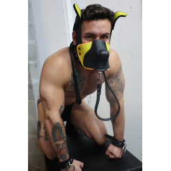 Breedwell Masque Poundtown Pup Breedwell Noir-Jaune